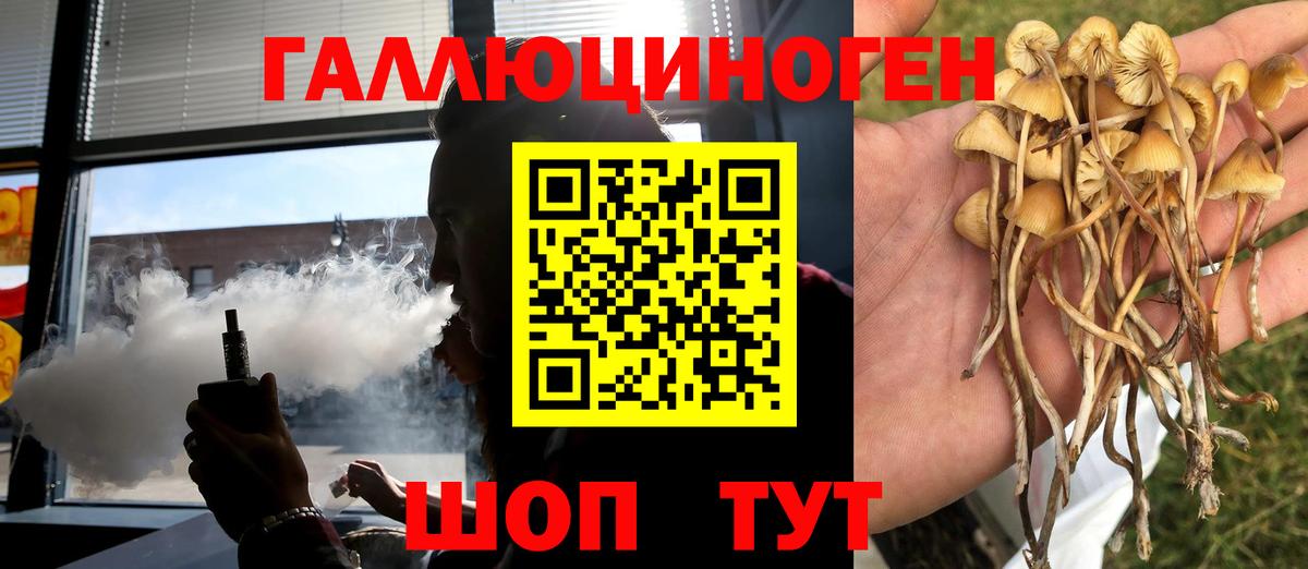 Галлюциногенные грибы MAGIC MUSHROOMS  Псилоцибиновые грибы мухоморы  Кувандык  Вход с VPN 